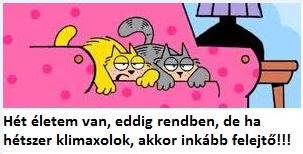 7 életem van, eddig OK, de ha 7 x leszek klimaxos felejtsük el 7 életem van, eddig OK, de ha 7 x leszek klimaxos felejtsük el